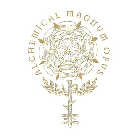 博洛尼亚House Of Alchemy - San Luca - Stadio公寓 外观 照片